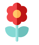 cv