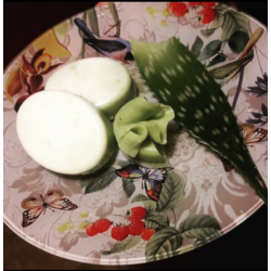 Jabón de Aloe Vera